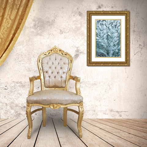 USA- Washington State- Sammamish. Frost on auto window Gold Ornate Wood Framed Art Print with Double Matting by Gulin, Darrell