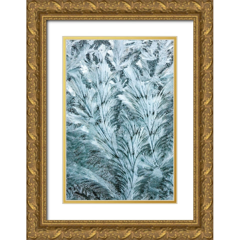 USA- Washington State- Sammamish. Frost on auto window Gold Ornate Wood Framed Art Print with Double Matting by Gulin, Darrell
