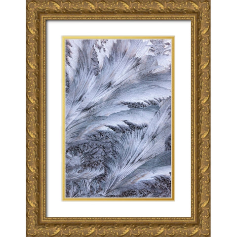 USA- Washington State- Sammamish. Frost on auto window Gold Ornate Wood Framed Art Print with Double Matting by Gulin, Darrell