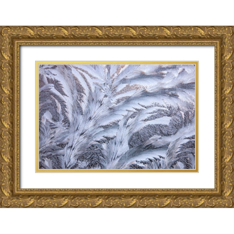 USA- Washington State- Sammamish. Frost on auto window Gold Ornate Wood Framed Art Print with Double Matting by Gulin, Darrell
