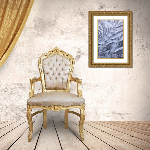 USA- Washington State- Sammamish. Frost on auto window Gold Ornate Wood Framed Art Print with Double Matting by Gulin, Darrell