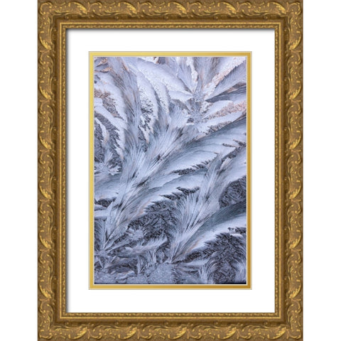 USA- Washington State- Sammamish. Frost on auto window Gold Ornate Wood Framed Art Print with Double Matting by Gulin, Darrell