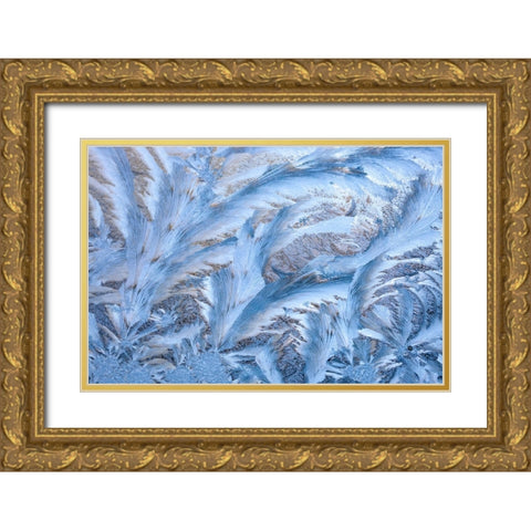 USA- Washington State- Sammamish. Frost on auto window Gold Ornate Wood Framed Art Print with Double Matting by Gulin, Darrell