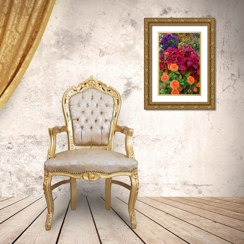 USA- Washington State- Sammamish. Garden with summer annual flowers- with zinnias and coleus- Gold Ornate Wood Framed Art Print with Double Matting by Gulin, Darrell