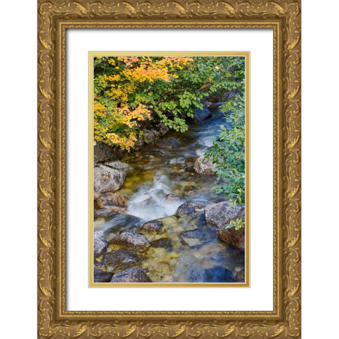 USA- Washington State. Cascade mountains near Stevens Pass Gold Ornate Wood Framed Art Print with Double Matting by Gulin, Darrell