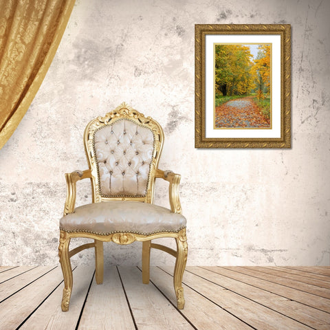 USA- Washington State. Big Leaf Maple trees in autumn colors near Darrington Gold Ornate Wood Framed Art Print with Double Matting by Gulin, Darrell