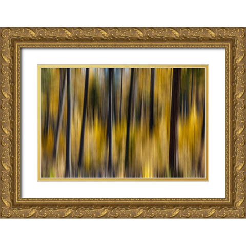 USA- Washington State. East of Twisp on Highway 20 Gold Ornate Wood Framed Art Print with Double Matting by Gulin, Darrell