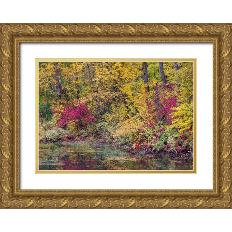 USA- Washington State- small pond near Easton surrounded by fall colored trees Gold Ornate Wood Framed Art Print with Double Matting by Gulin, Darrell