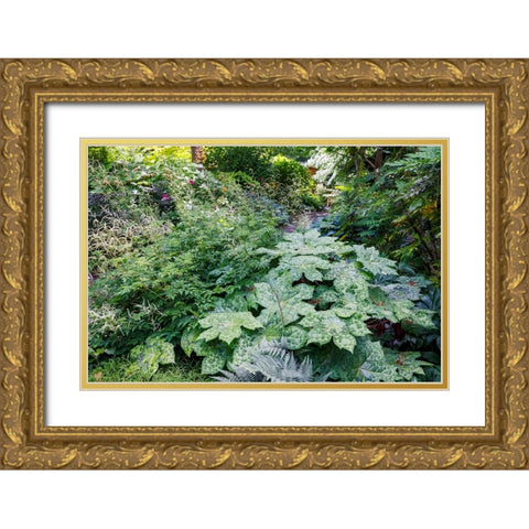 USA- Washington State. Bellevue Botanical garden and shade garden Gold Ornate Wood Framed Art Print with Double Matting by Gulin, Darrell