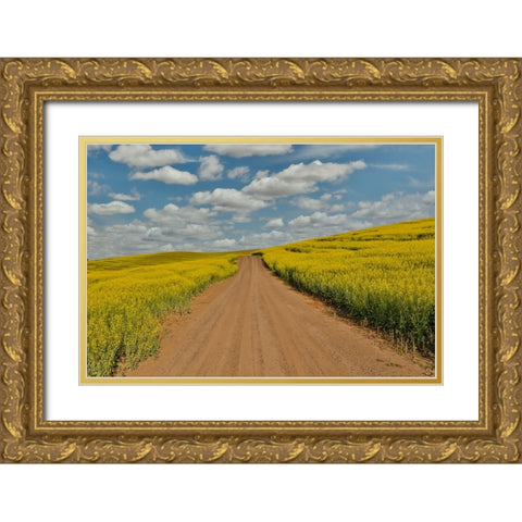 USA- Washington State- Palouse. Springtime landscape dirt roadway and Canola fields Gold Ornate Wood Framed Art Print with Double Matting by Gulin, Darrell