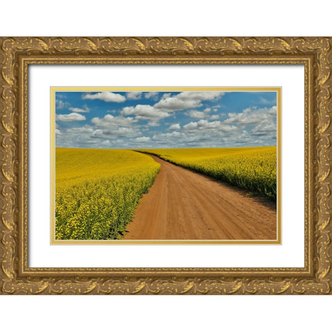 USA- Washington State- Palouse. Springtime landscape dirt roadway and Canola fields Gold Ornate Wood Framed Art Print with Double Matting by Gulin, Darrell