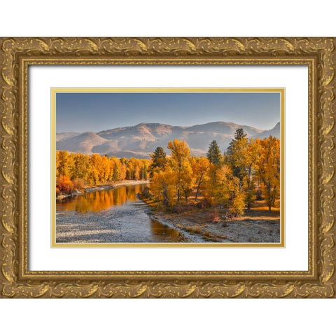 USA- Washington State- Methow Valley and river edged in Fall colored trees. Gold Ornate Wood Framed Art Print with Double Matting by Gulin, Darrell
