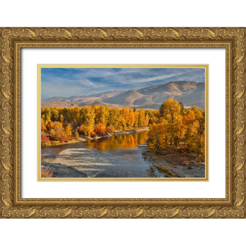 USA- Washington State- Methow Valley and river edged in Fall colored trees. Gold Ornate Wood Framed Art Print with Double Matting by Gulin, Darrell