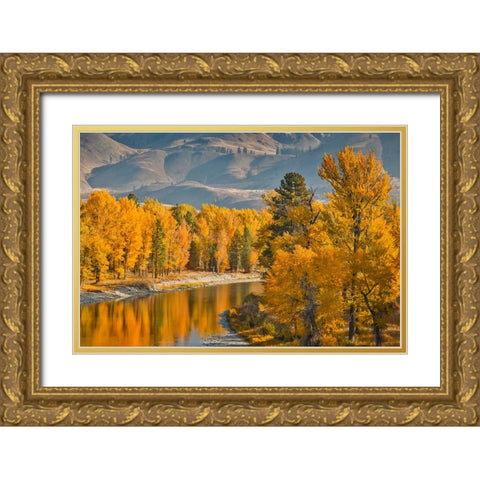 USA- Washington State- Methow Valley and river edged in Fall colored trees. Gold Ornate Wood Framed Art Print with Double Matting by Gulin, Darrell