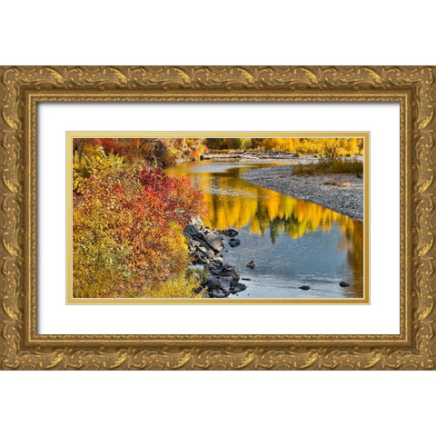 USA- Washington State- Methow Valley and river edged in Fall colored trees. Gold Ornate Wood Framed Art Print with Double Matting by Gulin, Darrell