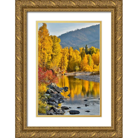 USA- Washington State- Methow Valley and river edged in Fall colored trees. Gold Ornate Wood Framed Art Print with Double Matting by Gulin, Darrell