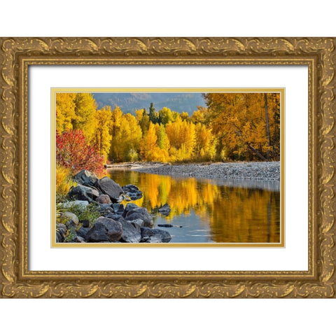 USA- Washington State- Methow Valley and river edged in Fall colored trees. Gold Ornate Wood Framed Art Print with Double Matting by Gulin, Darrell
