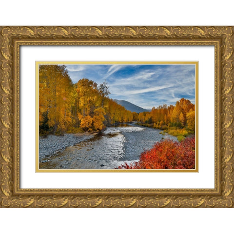 USA- Washington State- Methow Valley and river edged in Fall colored trees. Gold Ornate Wood Framed Art Print with Double Matting by Gulin, Darrell