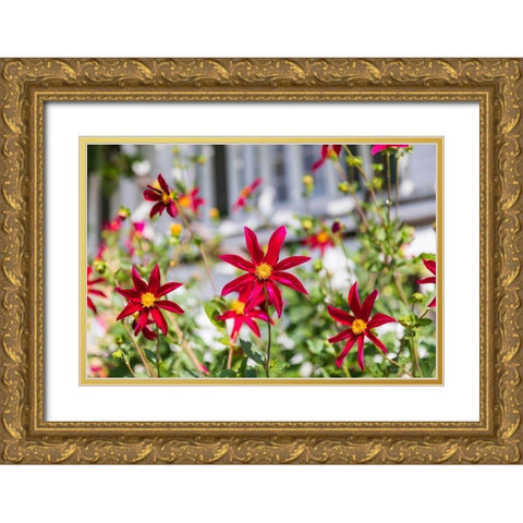 Washington State-Fort Vancouver National Historic Site Flowers in the garden Gold Ornate Wood Framed Art Print with Double Matting by Wilson, Emily