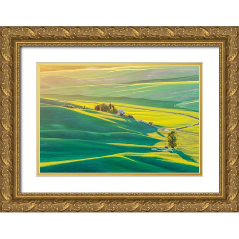 Steptoe Butte State Park-Washington State-USA-Sunset view of wheat fields in the rolling Palouse hi Gold Ornate Wood Framed Art Print with Double Matting by Wilson, Emily M.