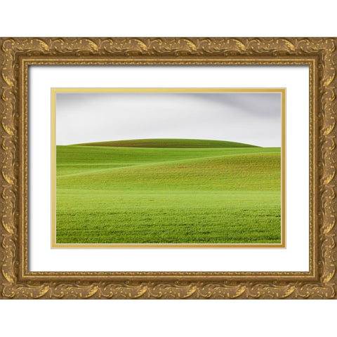 Steptoe-Washington State-USA-Wheat fields in the rolling Palouse hills of Washington Gold Ornate Wood Framed Art Print with Double Matting by Wilson, Emily M.