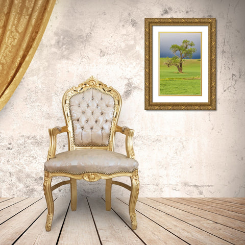 Steptoe-Washington State-USA-Cottonwood tree in wheat field under storm clouds in the Palouse hills Gold Ornate Wood Framed Art Print with Double Matting by Wilson, Emily M.