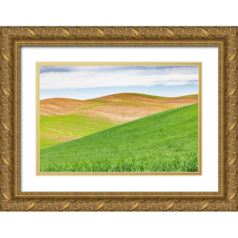 Pullman-Washington State-USA-Rolling wheat fields in the Palouse hills Gold Ornate Wood Framed Art Print with Double Matting by Wilson, Emily M.