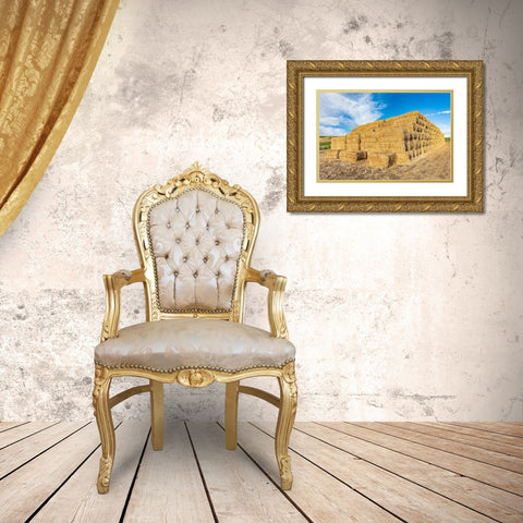 Pullman-Washington State-USA-Stack of hay bales in the Palouse hills Gold Ornate Wood Framed Art Print with Double Matting by Wilson, Emily M.