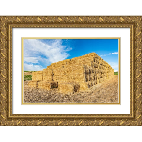 Pullman-Washington State-USA-Stack of hay bales in the Palouse hills Gold Ornate Wood Framed Art Print with Double Matting by Wilson, Emily M.