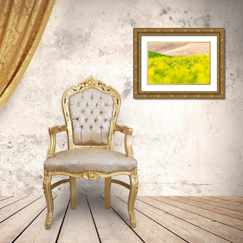 Lacrosse-Washington State-USA-Blooming canola field in the Palouse hills Gold Ornate Wood Framed Art Print with Double Matting by Wilson, Emily M.