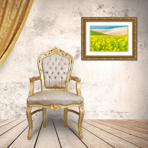 Lacrosse-Washington State-USA-Blooming canola field in the Palouse hills Gold Ornate Wood Framed Art Print with Double Matting by Wilson, Emily M.