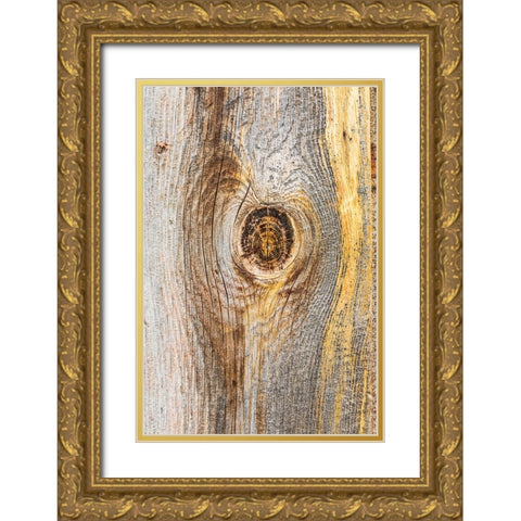 Latah-Washington State-USA-Knot in weathered wood on an old barn Gold Ornate Wood Framed Art Print with Double Matting by Wilson, Emily M.