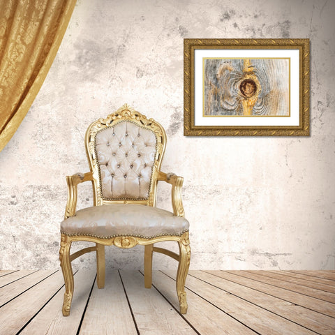 Latah-Washington State-USA-Knot in weathered wood on an old barn Gold Ornate Wood Framed Art Print with Double Matting by Wilson, Emily M.
