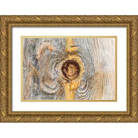 Latah-Washington State-USA-Knot in weathered wood on an old barn Gold Ornate Wood Framed Art Print with Double Matting by Wilson, Emily M.