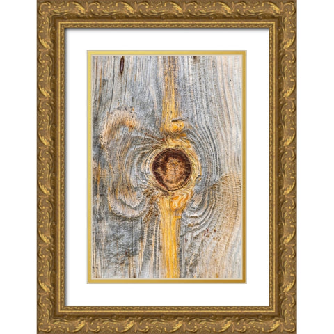 Latah-Washington State-USA-Knot in weathered wood on an old barn Gold Ornate Wood Framed Art Print with Double Matting by Wilson, Emily M.