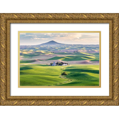 Farmington-Washington State-USA-Wheat farms in front of Steptoe Butte in the Palouse hills Gold Ornate Wood Framed Art Print with Double Matting by Wilson, Emily M.