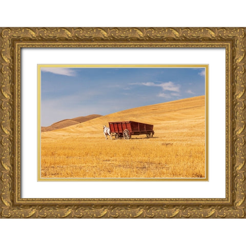 USA- Washington State- Whitman County- Palouse Gold Ornate Wood Framed Art Print with Double Matting by Wilson, Emily M.