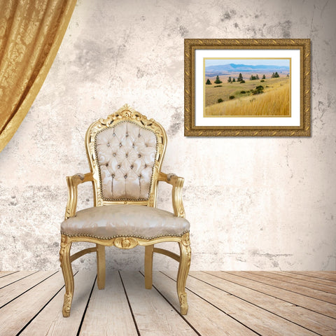 USA- Washington State- Whitman County- Palouse. Fields of wheat near Farmington. Gold Ornate Wood Framed Art Print with Double Matting by Wilson, Emily M.