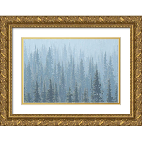 USA Mt Rainier National Park Smoke from Washington State fires drifts through conifers Gold Ornate Wood Framed Art Print with Double Matting by Luhm, Gary
