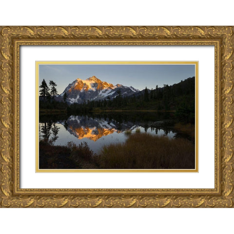 Glaciated Mt Shuksan reflected in Picture Lake-Mt Baker-Snoqualmie National Forest  Gold Ornate Wood Framed Art Print with Double Matting by Luhm, Gary