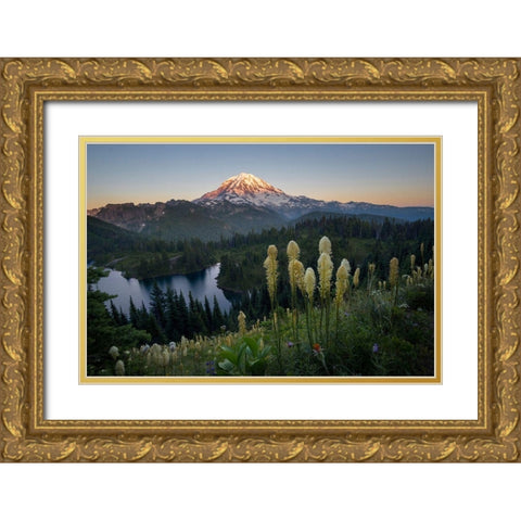 Washington State Beargrass wildflowers from the flank of Tolmie Peak at Eunice Lake Gold Ornate Wood Framed Art Print with Double Matting by Luhm, Gary