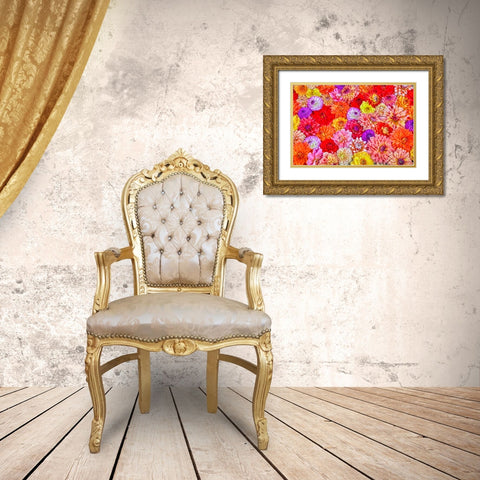 Usa-Washington State-Sammamish Group of Dahlias Gold Ornate Wood Framed Art Print with Double Matting by Looney, Hollice