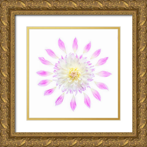 Usa-Washington State-Sammamish Flower Design Gold Ornate Wood Framed Art Print with Double Matting by Looney, Hollice