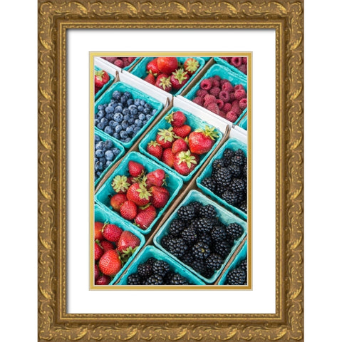 Issaquah-Washington State-USA Pints of freshly harvested strawberries Gold Ornate Wood Framed Art Print with Double Matting by Horton, Janet