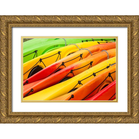 Issaquah-Washington State-USA Colorful kayaks lying on their side Gold Ornate Wood Framed Art Print with Double Matting by Horton, Janet