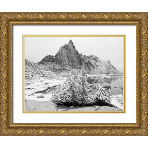 Alpine Lakes Wilderness-Enchantment Lakes-snow covered larch trees-with Prusik Peak Gold Ornate Wood Framed Art Print with Double Matting by Wild, Jamie and Judy
