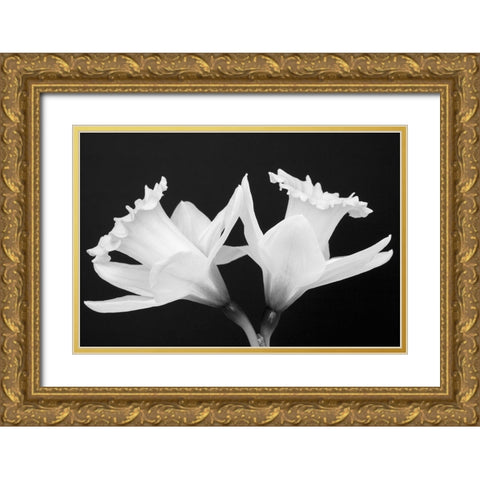WA-Redmond-Daffodils Gold Ornate Wood Framed Art Print with Double Matting by Wild, Jamie and Judy