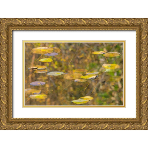 WA-Phantom Lake-Lilly Pads Gold Ornate Wood Framed Art Print with Double Matting by Wild, Jamie and Judy