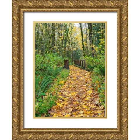 WA-Tiger Mountain-Leaf covered trail Gold Ornate Wood Framed Art Print with Double Matting by Wild, Jamie and Judy