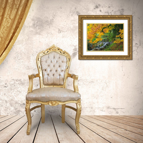 WA-Redmond-Stream and Autumn color Gold Ornate Wood Framed Art Print with Double Matting by Wild, Jamie and Judy